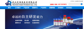 武漢艾斯迪醫(yī)藥
